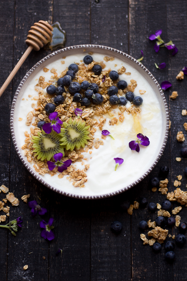 Blueberry Pancake Greek Yogurt Breakfast Bowl.