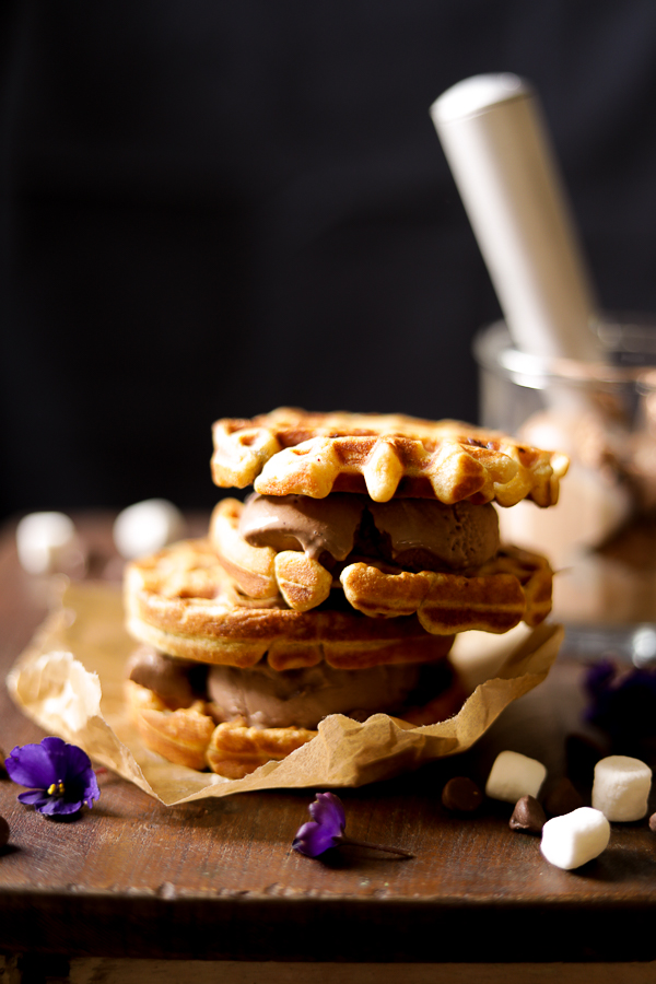 The S’more the Better Waffle Ice Cream Sandwich.